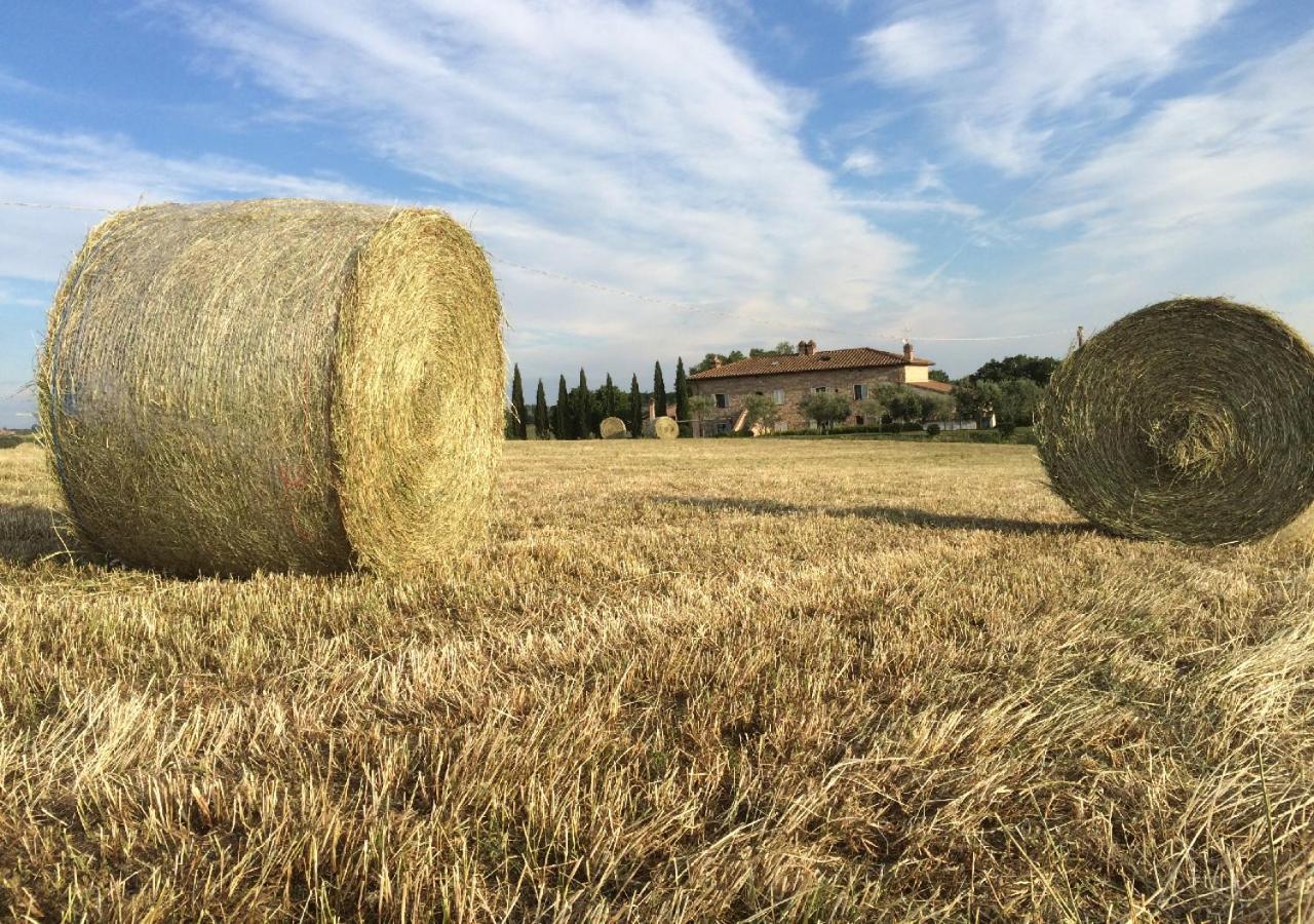 Borgo Solario Pension Castiglione del Lago Buitenkant foto